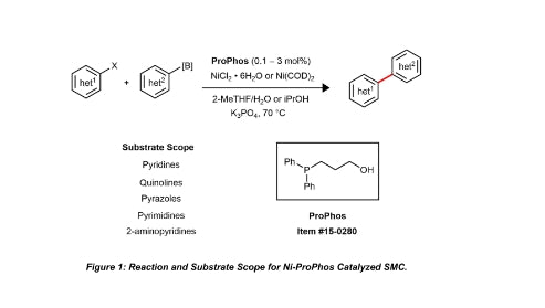 ProPhos: Enabling Challenging Heteroaromatic Suzuki-Miyamura Cross-Coupling with Nickel