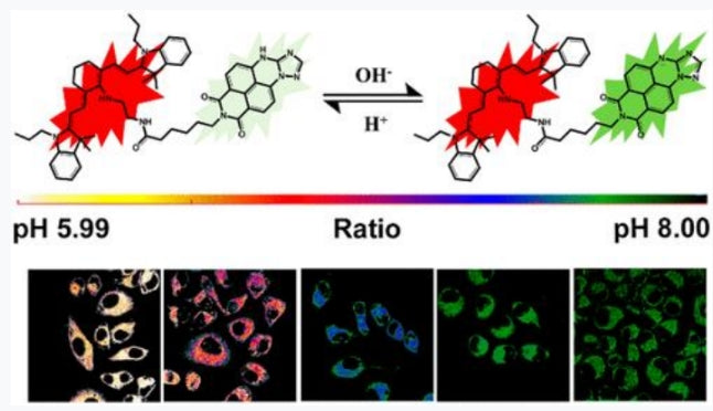 Scientific research achievements of Associate Researcher Liu Xiangjun | pH-sensitive ratiometric fluorescent probe ANNA—efficient response within the physiological pH range