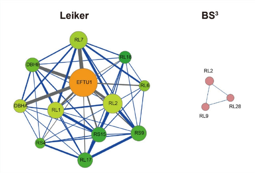 Professor Lei Xiaoguang’s scientific research achievements | High-efficiency CXMS cross-linking agent Leiker - used for analysis of complex protein samples, can be enriched and quantified
