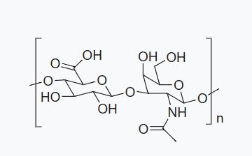 Scientific research results of Associate Professor Fang Junqiang | HA/CH polysaccharide, good uniformity, molecular weight can be customized