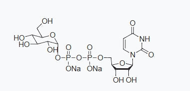 Scientific research achievements of Associate Professor Fang Junqiang | Sugar nucleotides and their derivatives - excellent quality, available in large quantities