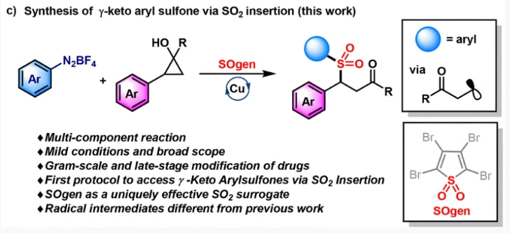 Efficient Synthesis of γ-Ketosulfones Using SOgen: A New SO₂ Replacement Reagent by Professor Lian Zhong
