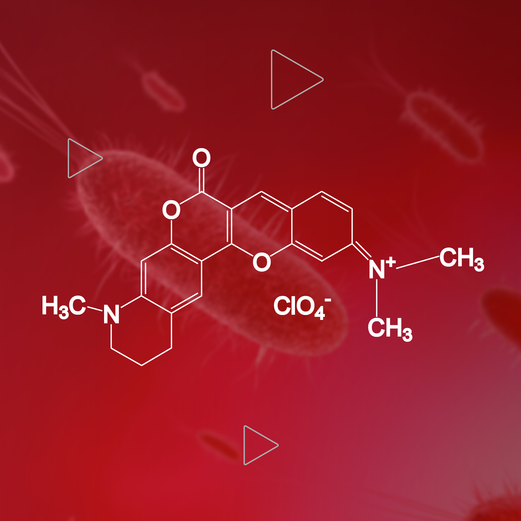 A Novel Dye for Monitoring Nucleolar RNA Dynamic Changes in Living Cells - J&K Scientific LLC