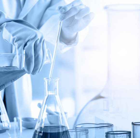 Scientific research achievements of Professor Nie Zhou | Live cell nucleic acid G-quadruplex targeted fluorescent probe - ThT-NE