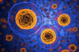 How to Choose Live Cell Tracing? Key Points for Reagent Selection and Combination