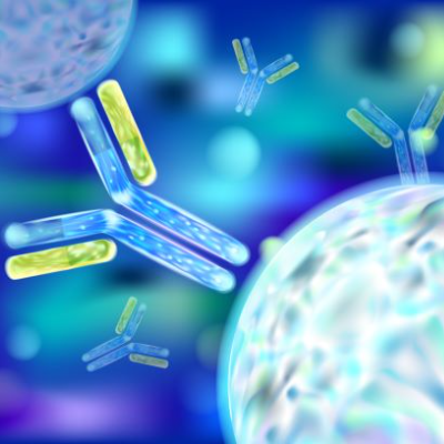 The Role of Crosslinking Agents in Dental Materials