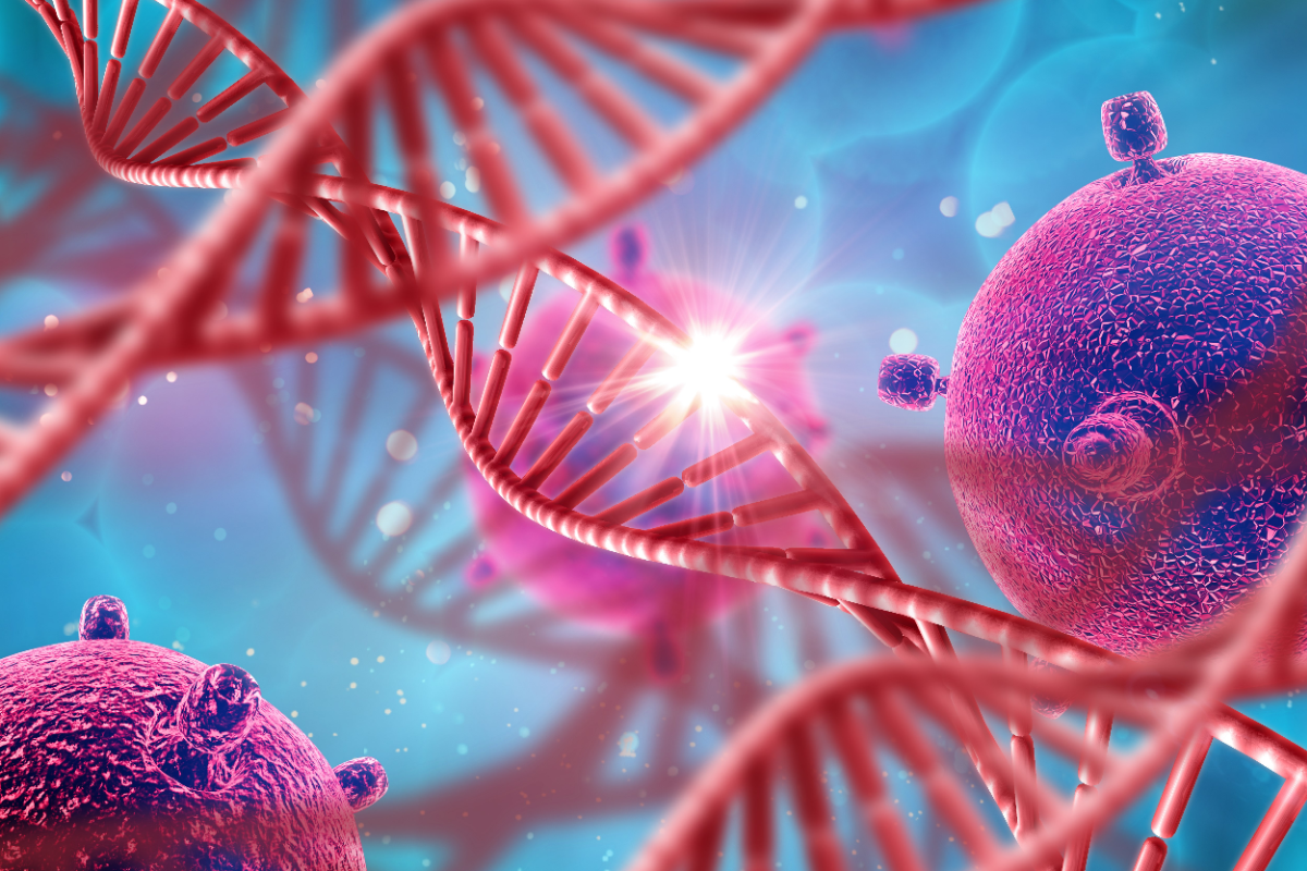 Molecular Biology Protocol: Alkaline Lysis-Based Plasmid DNA Purification