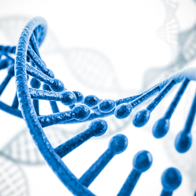 Bridging the Future: How Peptide Synthesis Powers the Next Biopharma Revolution