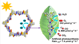 Dodecahydrophenazine as a Functional Molecular Building Block