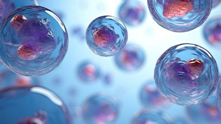 Visualization and Detection of Cellular Function: A Core Technical Framework in Modern Cell Biology