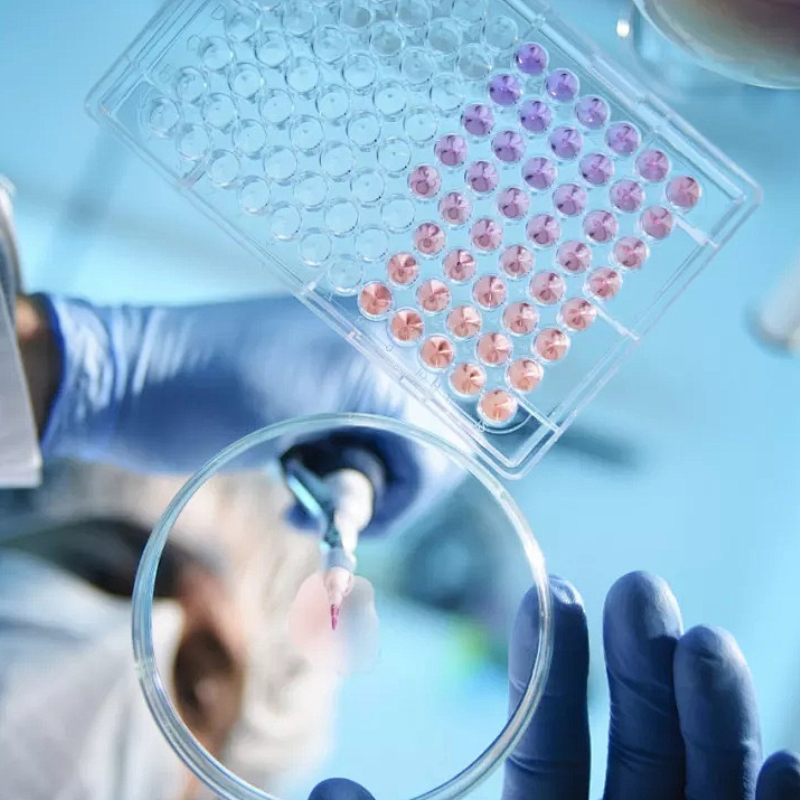 Cell Analysis: The Foundational Technology of Modern Life Sciences