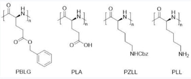 Scientific research achievements of Professor Bai Yugang | Homopolypeptides—biomimetic macromolecular building blocks of controllable synthesis