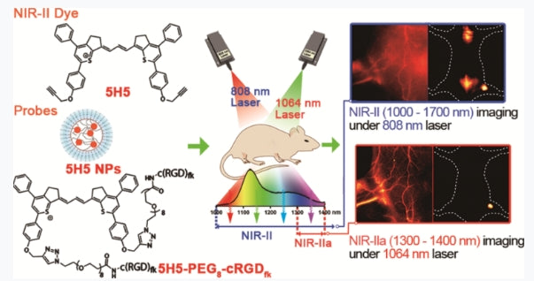 Professor Hong Xuechuan’s scientific research results | CH1055 and its derivatives—near-infrared II region small molecule dyes that can be metabolized and modified