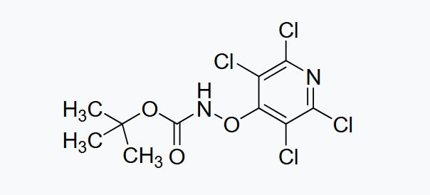 Professor Yang Hua’s scientific research results | New photocatalytic amination reagent - there is a way to 