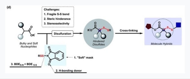 Professor Jiang Xuefeng’s scientific research results | Bailingwei’s new disulfide reagent – “one step” introduction of disulfide skeleton