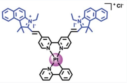 Professor Zhang Pingyu’s scientific research results | Small molecule cyanine ligands that strongly absorb red and near-red light