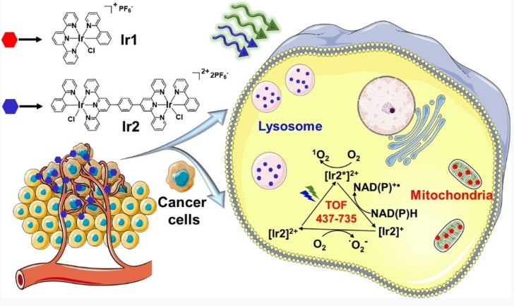 Professor Huang Huaiyi’s scientific research results｜New metal iridium photocatalyst with excellent photocatalytic performance