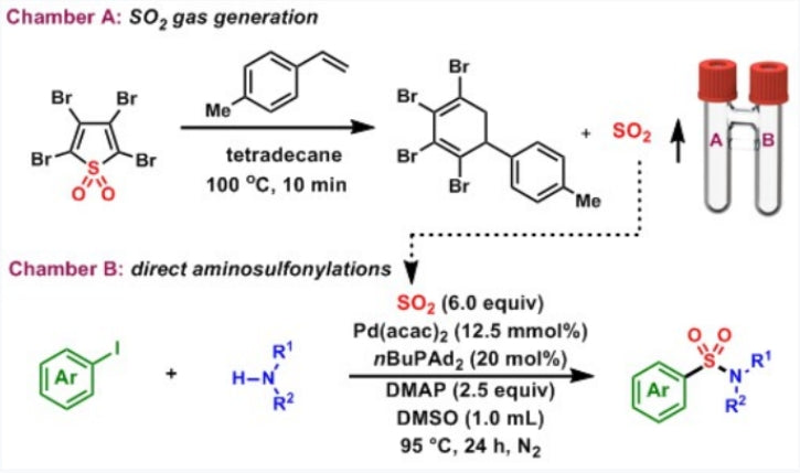 Professor Lian Zhong’s Research: SOgen — A New Sulfur Dioxide Replacement Reagent