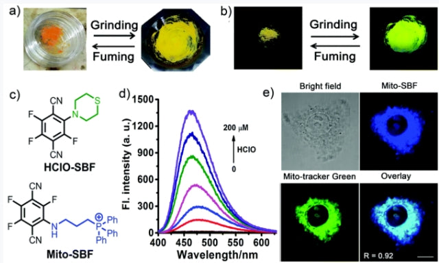 Professor Fang Yu's research: Versatile Single-Benzene Fluorescent Dyes (SBFs) for Tunable Bioimaging and Smart Luminescent Materials