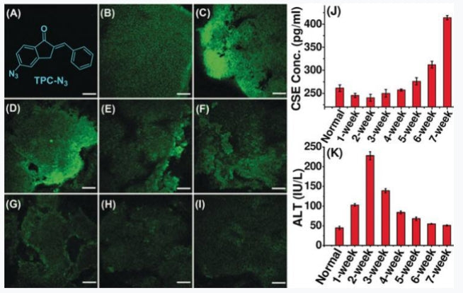 Functionalized TPCs Fluorescent Dyes | Superior Two-Photon Imaging & Anti-Solvation Effect