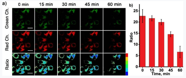 Scientific research results of the Zhang Xiaobing-Yuan Lin research group: Rh6G-ACFPN Fluorescent Probe | Real-Time ATP Monitoring in Living Cells