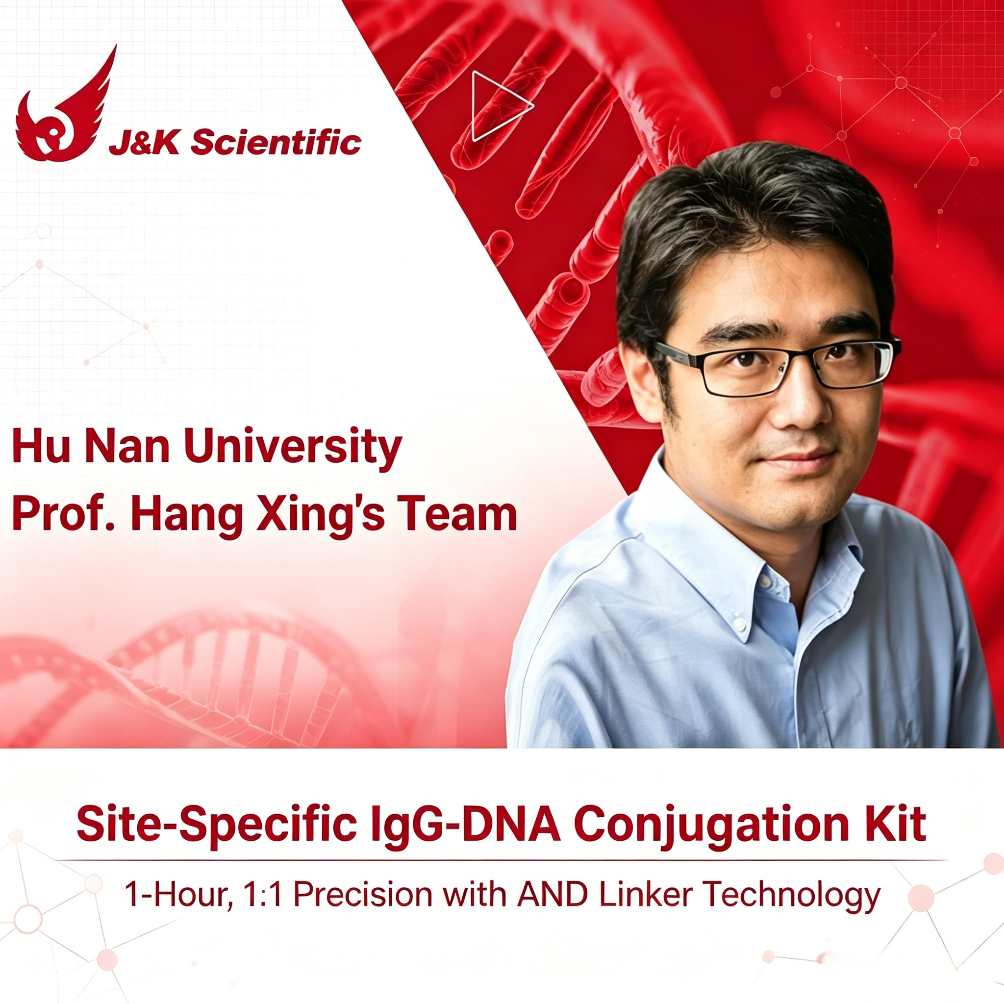 Site-Specific IgG-DNA Conjugation Kit - 1-Hour, 1:1 Precision with AND Linker Technology