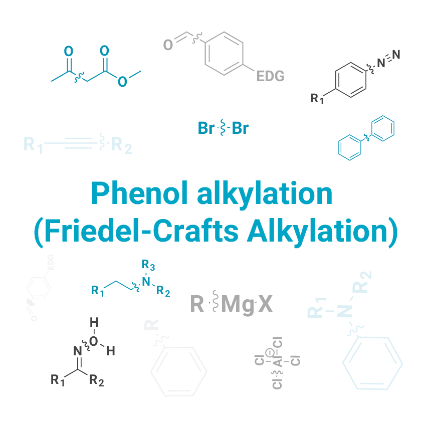 Phenol alkylation (Friedel-Crafts Alkylation) - J&K Scientific LLC