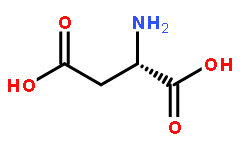 L-Aspartic Acid Product Uses