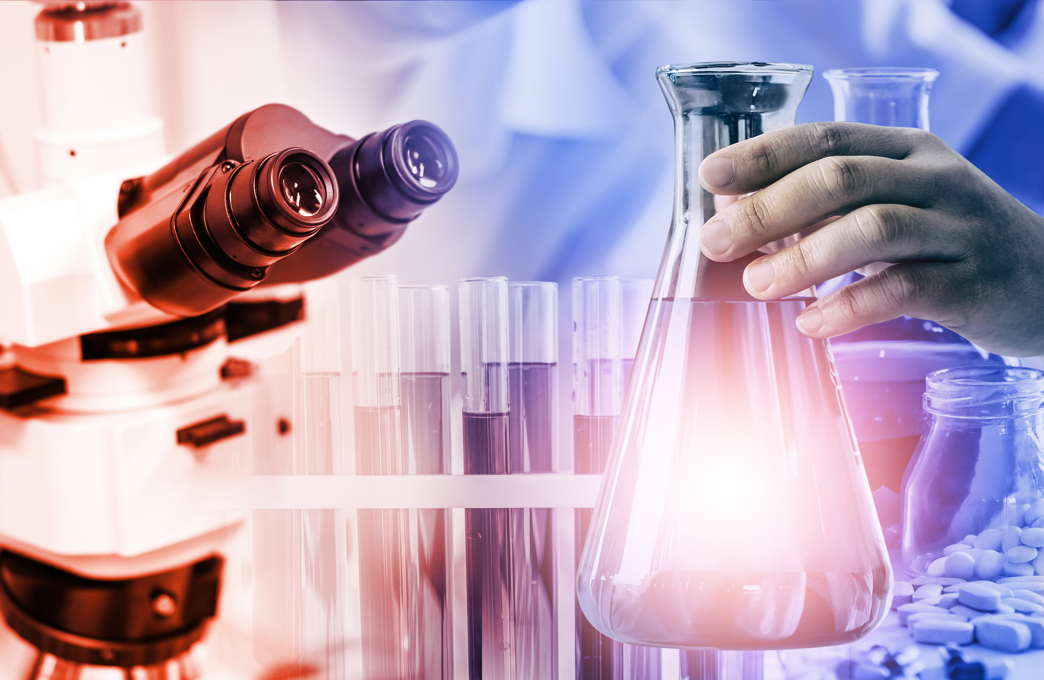 Guide to Lipid-Soluble Fluorescent Dyes