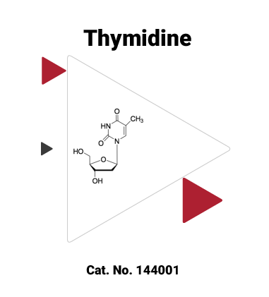Thymidine: Increase HDR via cell cycle synchronization - J&K Scientific LLC