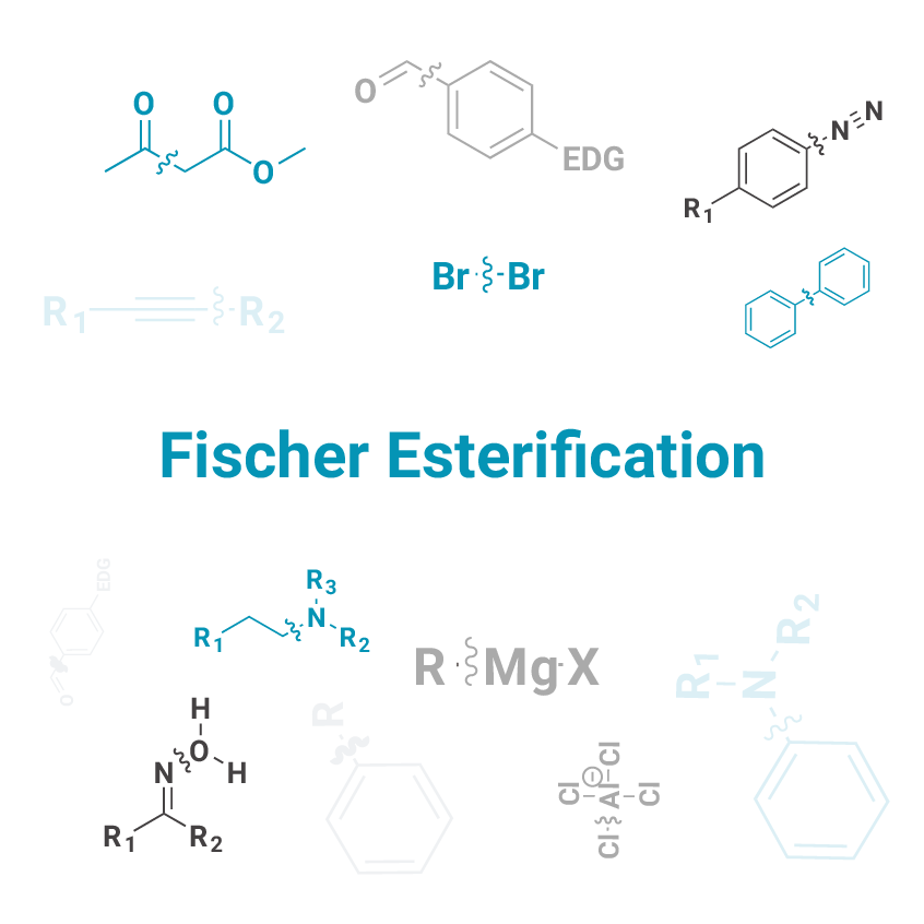 Fischer Esterification - J&K Scientific LLC