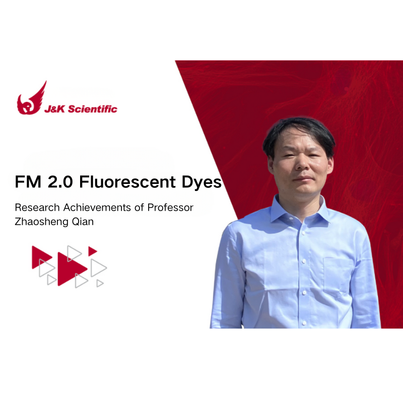 FM 2.0 Fluorescent Dyes for Long-Term Cell Membrane Imaging
