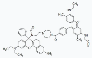 Innovative Fluorescent Dyes for Advanced Imaging and Research Applications