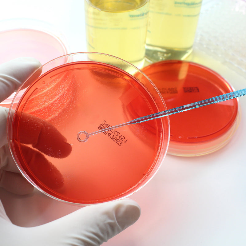 Mastering Microbial Cultivation: The Foundation of Modern Biotech & Diagnostics