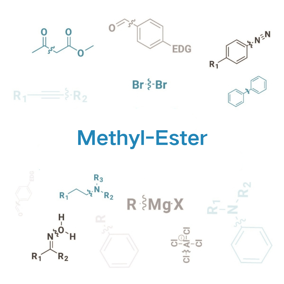 Methyl-Ester Protection and Deprotection