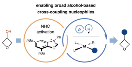 Deoxazole Direct deoxygenative arylation cross-coupling of alcohols