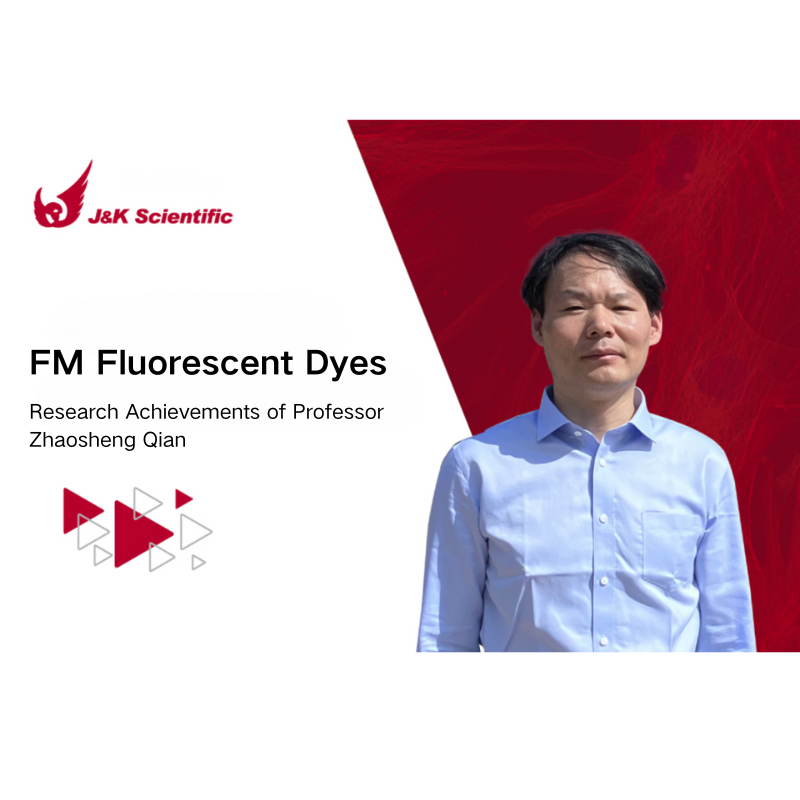 Research Achievements of Professor Zhaosheng Qian｜FM Fluorescent Dyes – Cell Membrane Imaging and Neuronal Cell Tracking Probes