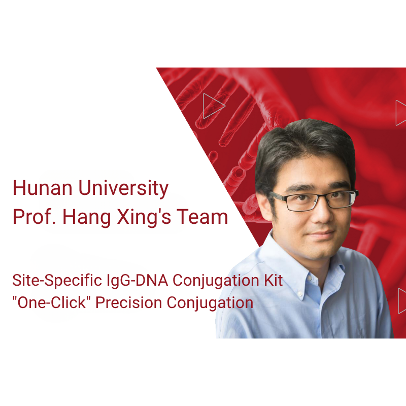 IgG Antibody–DNA Conjugation Kit: A Complete Solution for Precise and Quantitative Antibody–DNA Conjugation