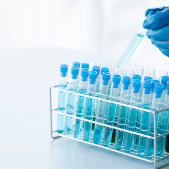 The Bright Side of Beer: The Evolution of Light-Stable Hops and the Role of Sodium Borohydride