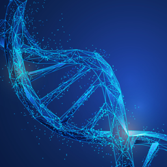 Scientific research results of Associate Professor Yan Xiaoqing | Four stereoisomers of benzopyrene DNA adducts and their 15N isotope internal standard