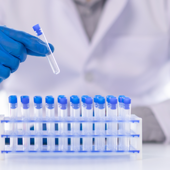Organosulfur——Ullman-Madawei reaction to prepare aryl sulfones