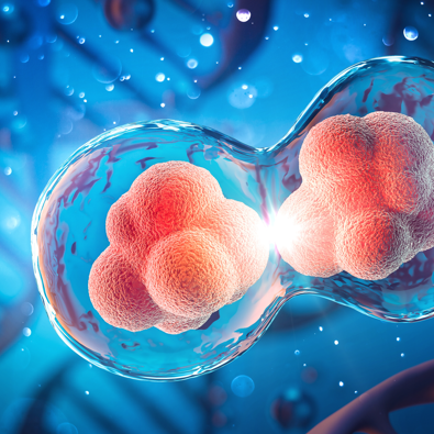 Research achievements of researcher Zou Peng | APEX probe substrate applied to microbial systems——Alk-Ph