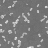 Diagram showing enhanced responsivity in a photodetector using gold nanorods, highlighting a 65% increase in performance under red light detection compared to a standard photodiode
