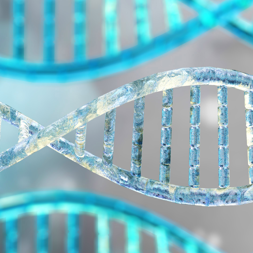 APEX Technology and the Development of Alk-Ph Probes for Microbial Systems