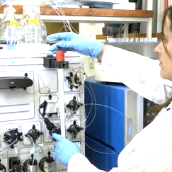 Chromatography system separating components of a mixture based on their differential partitioning between mobile and stationary phases
