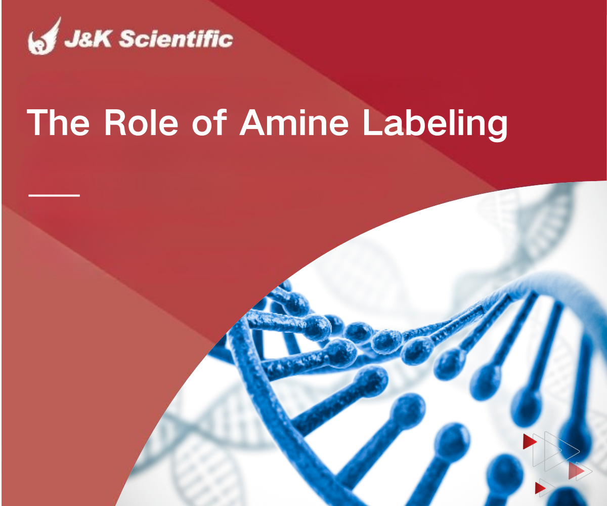 The Role of Amine Labeling in Peptide, Protein, and Antibody Labeling