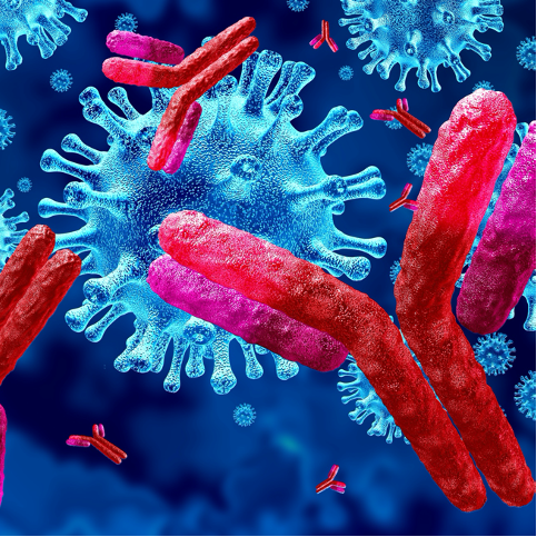 Reagents for Viral Specimen Transport Medium - J&K Scientific LLC