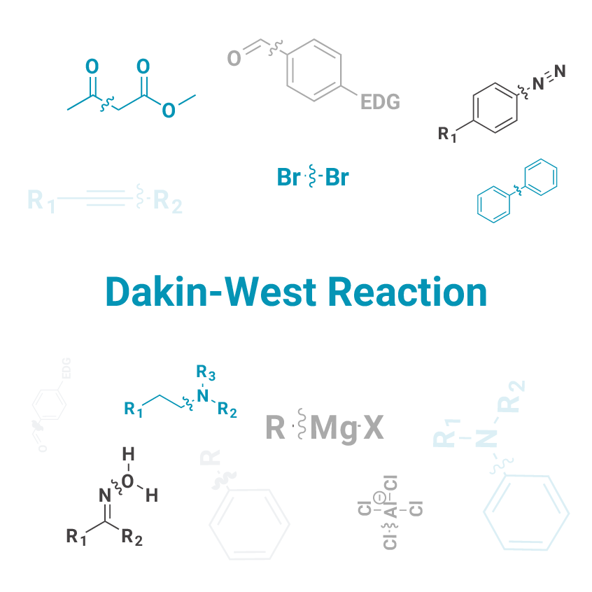 Dakin-West Reaction - J&K Scientific LLC