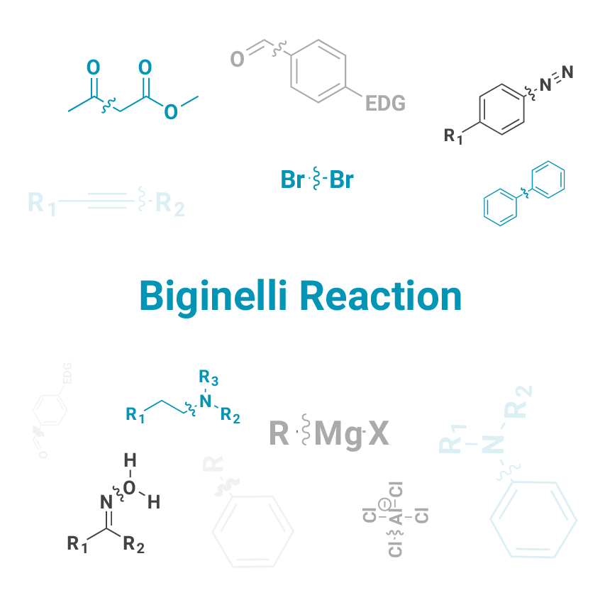 Biginelli Reaction - J&K Scientific LLC