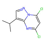 5,7-Dichloro-3-isopropylpyrazolo[1,5-a]pyrimidine|CS-W000401|771510-32-8